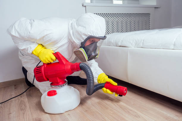 Best Affordable Pest Control Services  in Wahese, NC